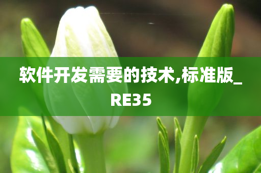 软件开发需要的技术,标准版_RE35