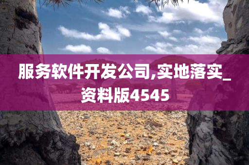 服务软件开发公司,实地落实_资料版4545