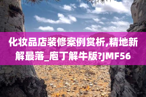 化妆品店装修案例赏析,精地新解最落_庖丁解牛版?JMF56