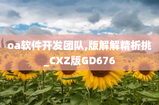 oa软件开发团队,版解解精析挑_CXZ版GD676