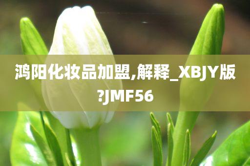 鸿阳化妆品加盟,解释_XBJY版?JMF56