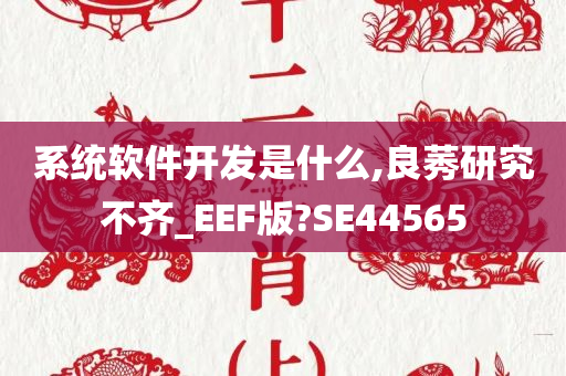 系统软件开发是什么,良莠研究不齐_EEF版?SE44565