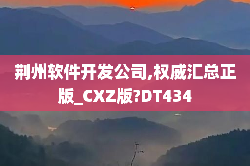 荆州软件开发公司,权威汇总正版_CXZ版?DT434