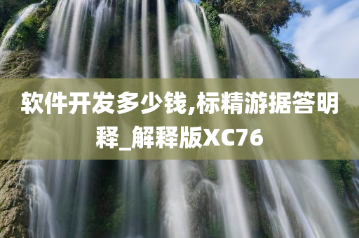 软件开发多少钱,标精游据答明释_解释版XC76