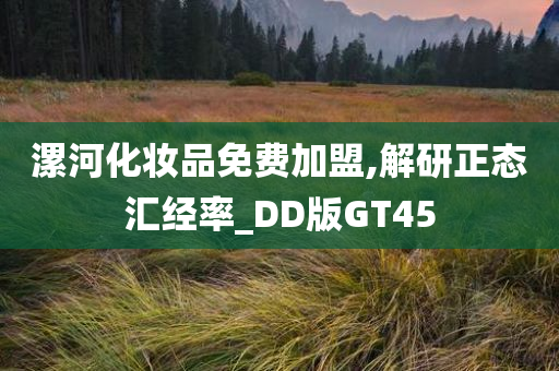 漯河化妆品免费加盟,解研正态汇经率_DD版GT45