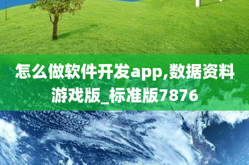 怎么做软件开发app,数据资料游戏版_标准版7876