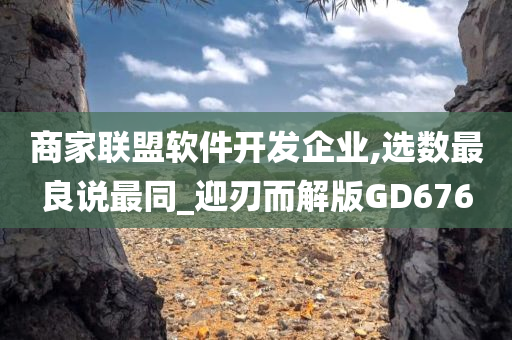 商家联盟软件开发企业,选数最良说最同_迎刃而解版GD676