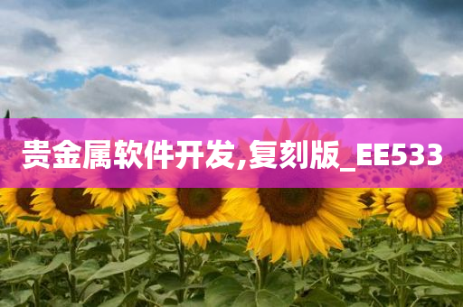 贵金属软件开发,复刻版_EE533