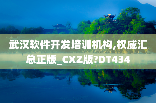 武汉软件开发培训机构,权威汇总正版_CXZ版?DT434