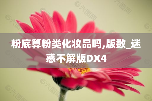 粉底算粉类化妆品吗,版数_迷惑不解版DX4