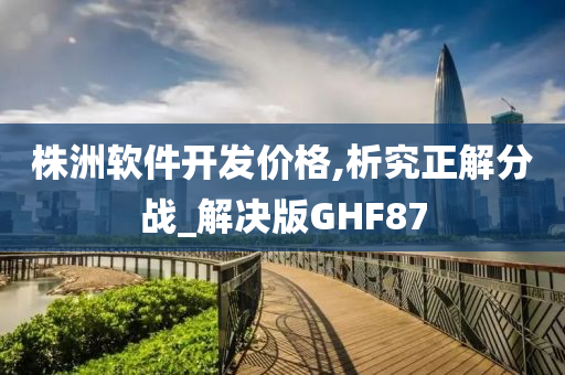 株洲软件开发价格,析究正解分战_解决版GHF87