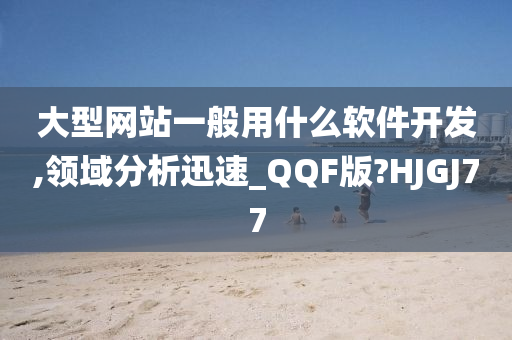 大型网站一般用什么软件开发,领域分析迅速_QQF版?HJGJ77