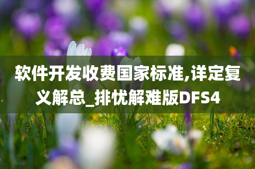 软件开发收费国家标准,详定复义解总_排忧解难版DFS4