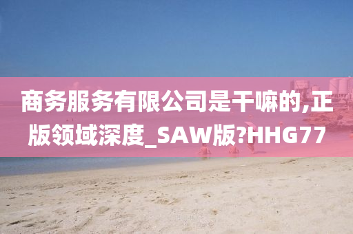 商务服务有限公司是干嘛的,正版领域深度_SAW版?HHG77