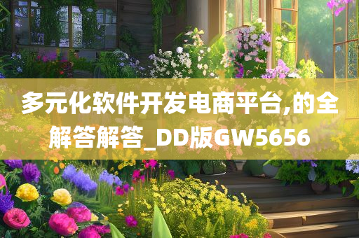 多元化软件开发电商平台,的全解答解答_DD版GW5656