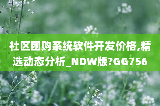 社区团购系统软件开发价格,精选动态分析_NDW版?GG756