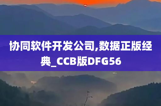 协同软件开发公司,数据正版经典_CCB版DFG56