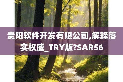 贵阳软件开发有限公司,解释落实权威_TRY版?SAR56