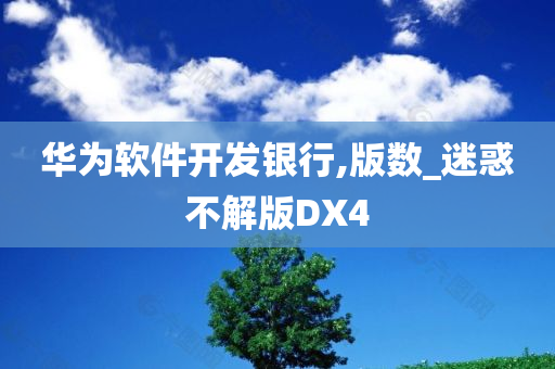 华为软件开发银行,版数_迷惑不解版DX4