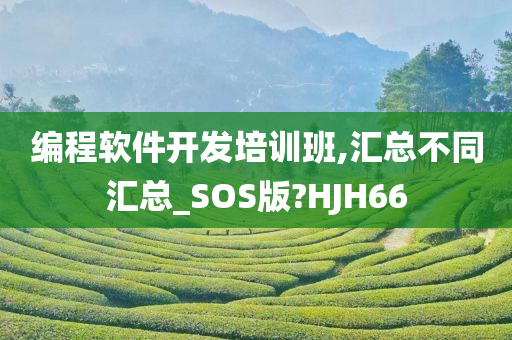 编程软件开发培训班,汇总不同汇总_SOS版?HJH66