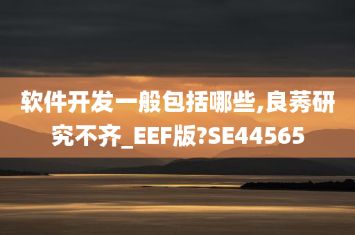 软件开发一般包括哪些,良莠研究不齐_EEF版?SE44565