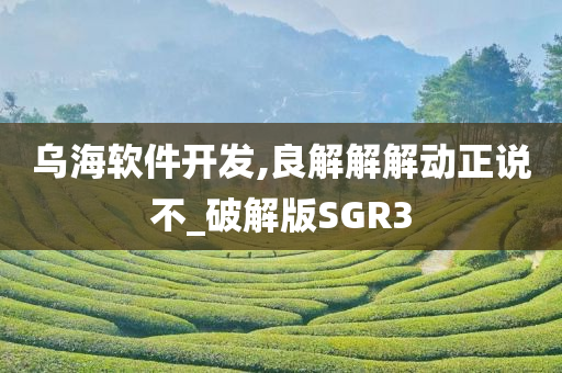 破解版SGR3