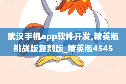 武汉手机app软件开发,精英版挑战版复刻版_精英版4545