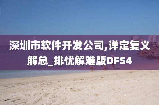 深圳市软件开发公司,详定复义解总_排忧解难版DFS4