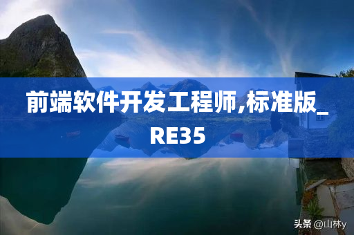 前端软件开发工程师,标准版_RE35