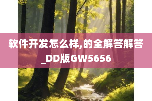 软件开发怎么样,的全解答解答_DD版GW5656