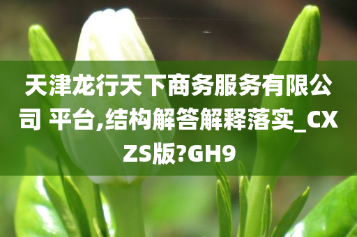 天津龙行天下商务服务有限公司 平台,结构解答解释落实_CXZS版?GH9