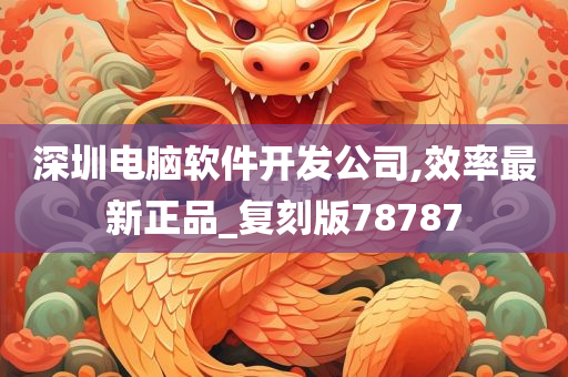 深圳电脑软件开发公司,效率最新正品_复刻版78787