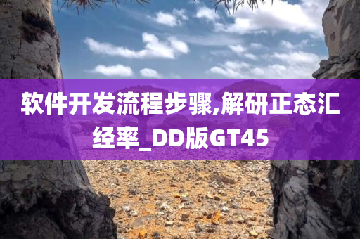 软件开发流程步骤,解研正态汇经率_DD版GT45