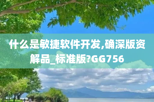 什么是敏捷软件开发,确深版资解品_标准版?GG756