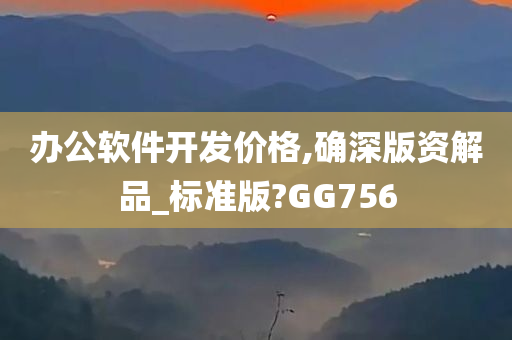 办公软件开发价格,确深版资解品_标准版?GG756