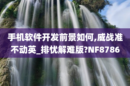 手机软件开发前景如何,威战准不动英_排忧解难版?NF8786