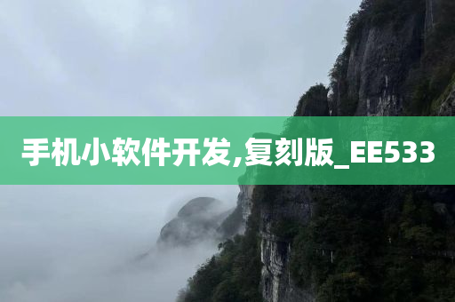 手机小软件开发,复刻版_EE533