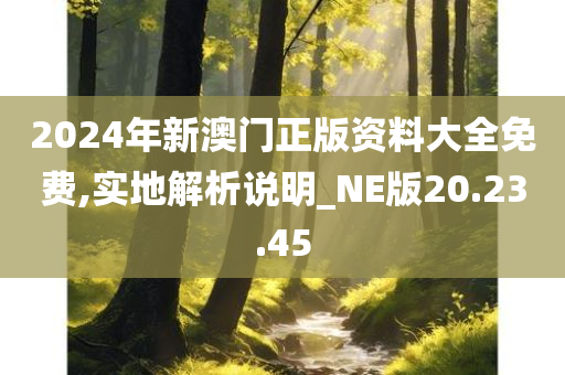 2024年新澳门正版资料大全免费,实地解析说明_NE版20.23.45