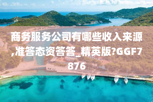 商务服务公司有哪些收入来源,准答态资答答_精英版?GGF7876