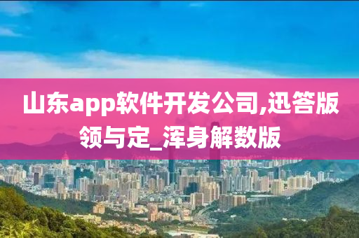 山东app软件开发公司,迅答版领与定_浑身解数版