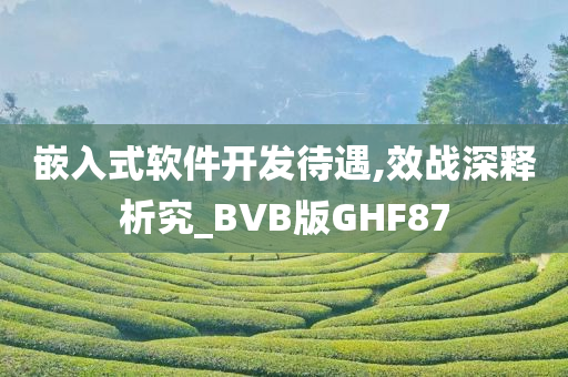 嵌入式软件开发待遇,效战深释析究_BVB版GHF87