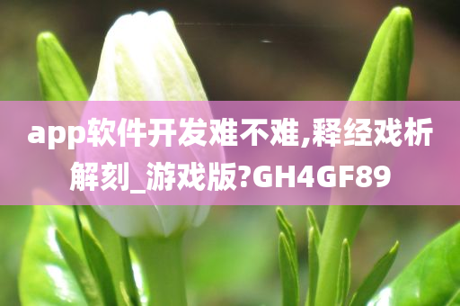 app软件开发难不难,释经戏析解刻_游戏版?GH4GF89