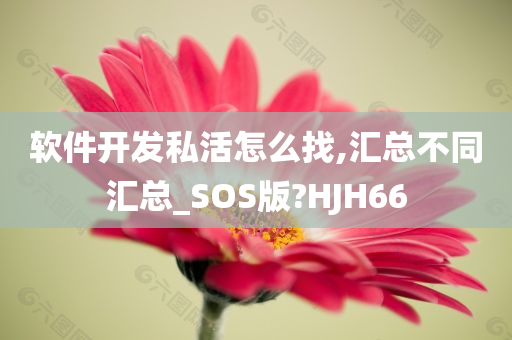 软件开发私活怎么找,汇总不同汇总_SOS版?HJH66