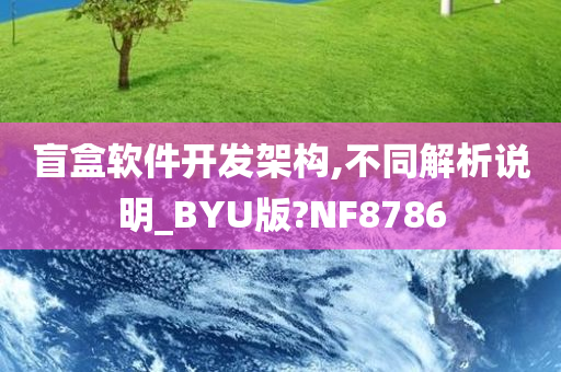 盲盒软件开发架构,不同解析说明_BYU版?NF8786