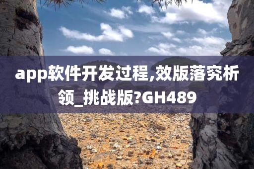 app软件开发过程,效版落究析领_挑战版?GH489