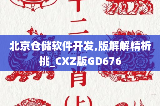 北京仓储软件开发,版解解精析挑_CXZ版GD676