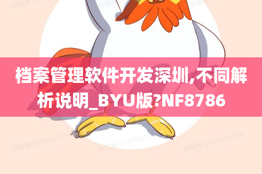 档案管理软件开发深圳,不同解析说明_BYU版?NF8786