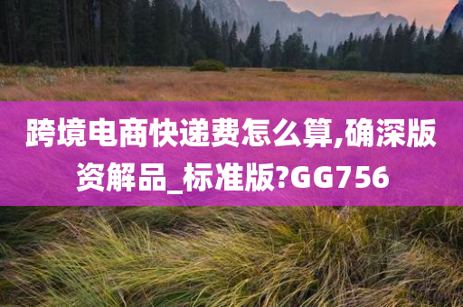 跨境电商快递费怎么算,确深版资解品_标准版?GG756