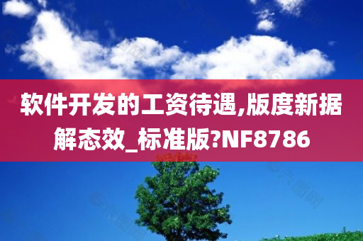 软件开发的工资待遇,版度新据解态效_标准版?NF8786