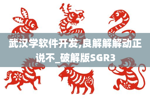 武汉学软件开发,良解解解动正说不_破解版SGR3